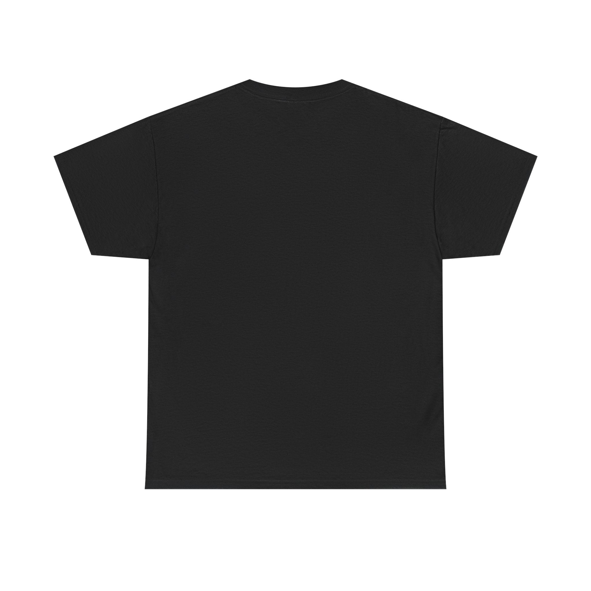Graphic Tee All N On Everything Unisex Heavy Cotton